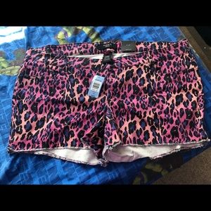 Torrid Animal Print Shorts